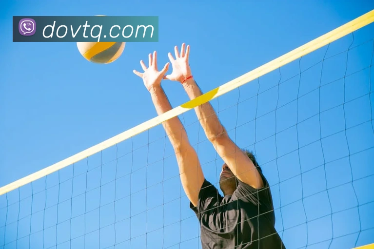 互动解说服务